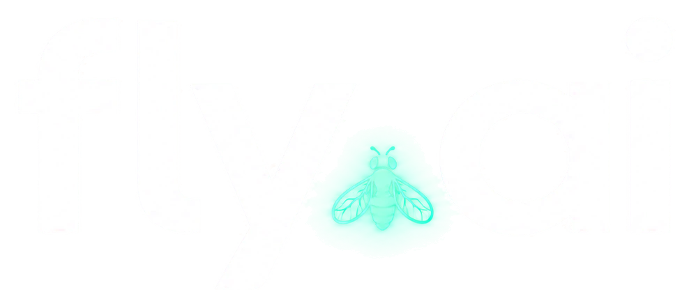 fly.ai